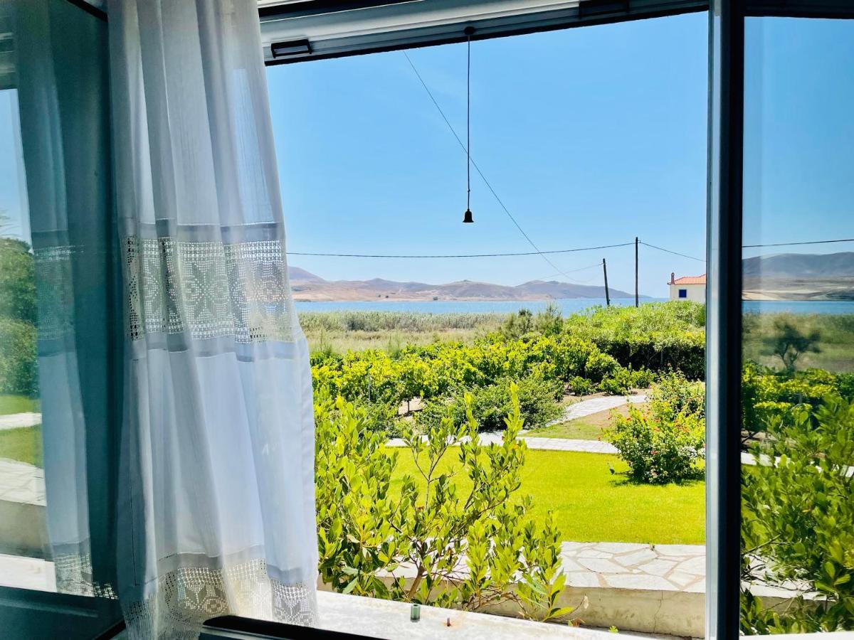 Lemnos Retreat Villa-250M From The Beach 1Km From Diapori 孔蒂亚斯 外观 照片
